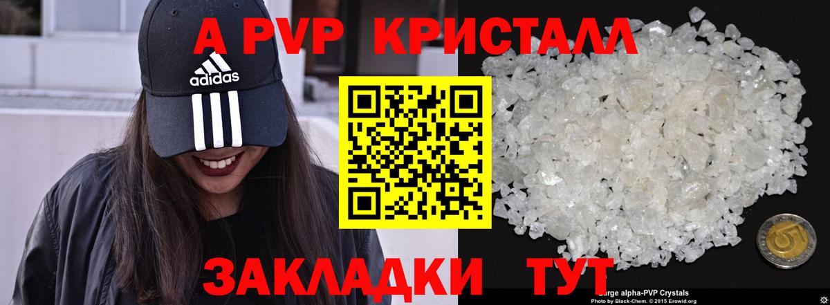 Alfa_PVP СК КРИС Вологда