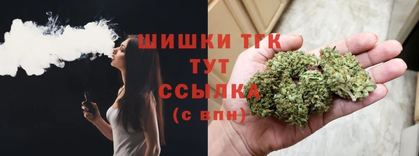 spice Пестово