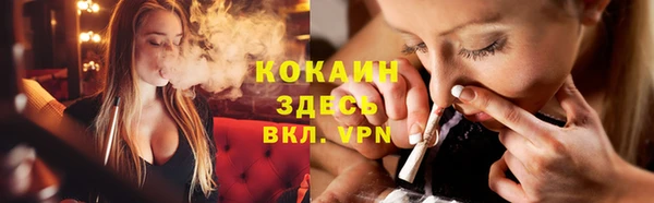 PSILOCYBIN Пересвет