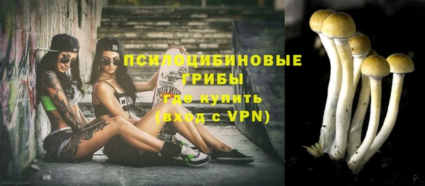 PSILOCYBIN Пересвет