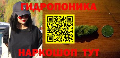 гашик Донской