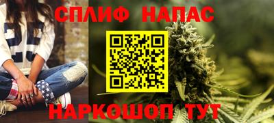 гашик Донской
