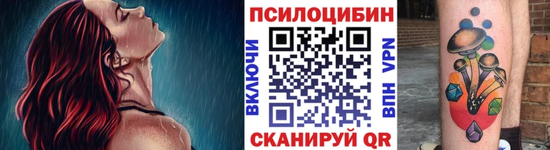 МЕГА онион Вологда Псилоцибиновые грибы Cubensis