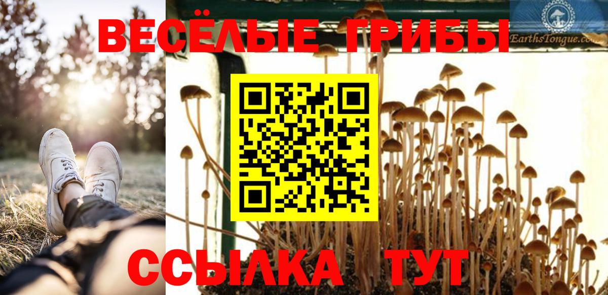 Галлюциногенные грибы Cubensis  Вход с VPN  Вологда  Галлюциногенные грибы Psilocybine cubensis 