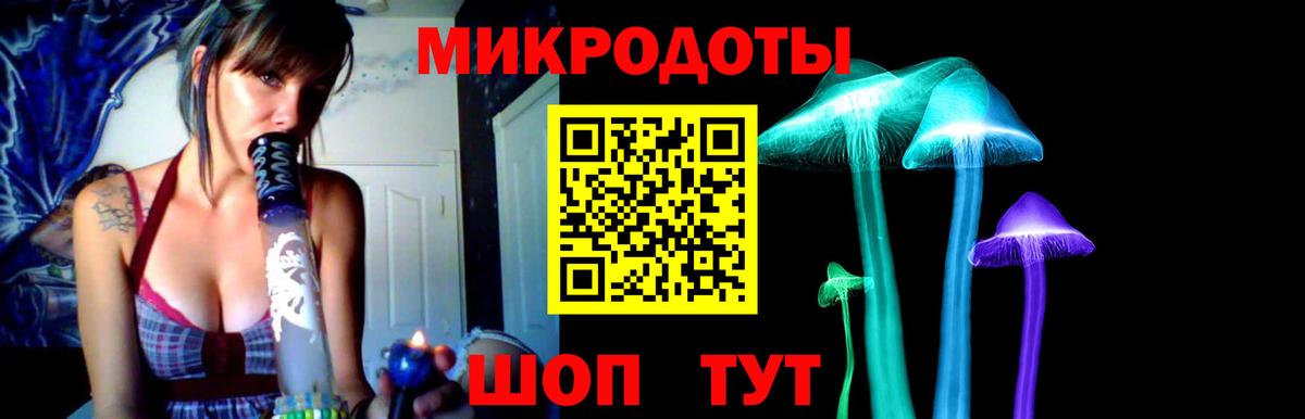 Псилоцибиновые грибы Psilocybe  Вологда 