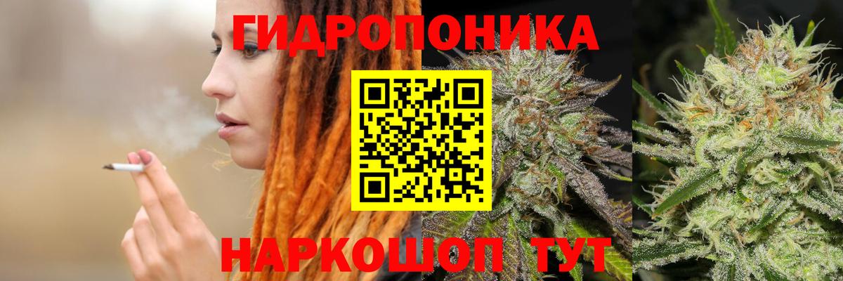 Канабис марихуана  Бошки марихуана гибрид  Вологда  Вход с VPN 